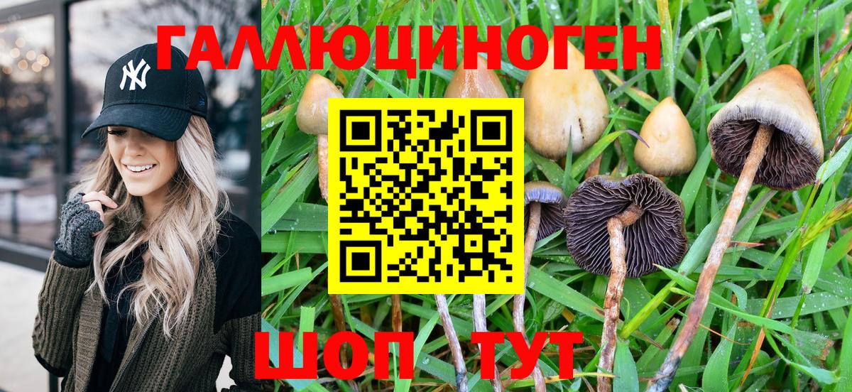 Галлюциногенные грибы Magic Shrooms  Вход с VPN  Аша 