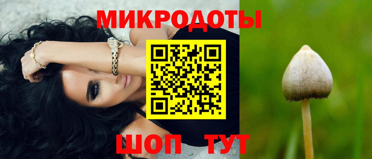 Псилоцибиновые грибы мицелий Аша